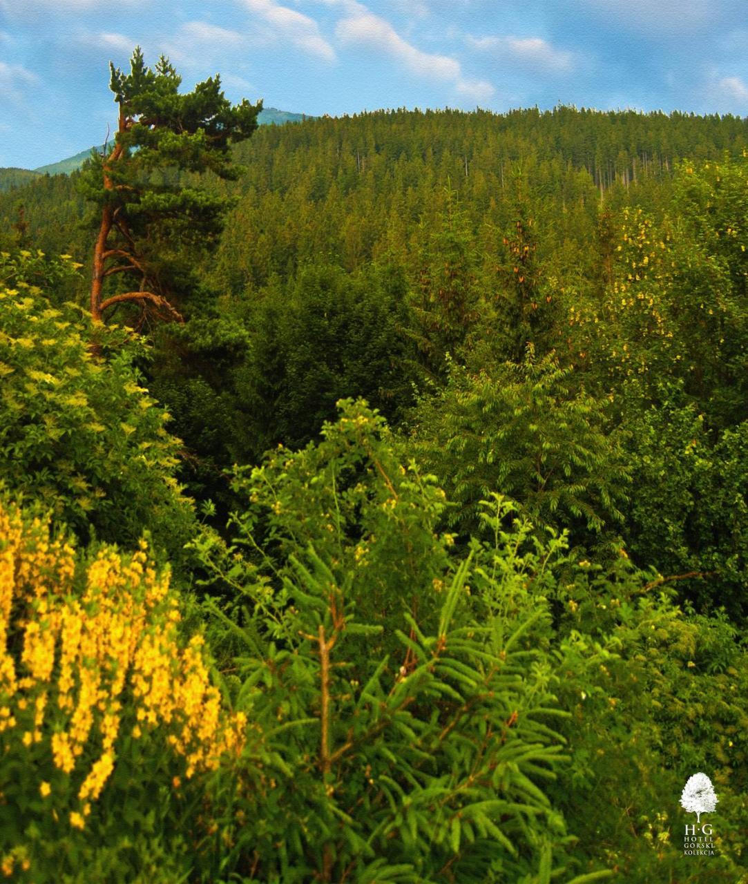 Hotel Gorski Czarna Gora สโตรเนีย ชล็องสเกีย ภายนอก รูปภาพ