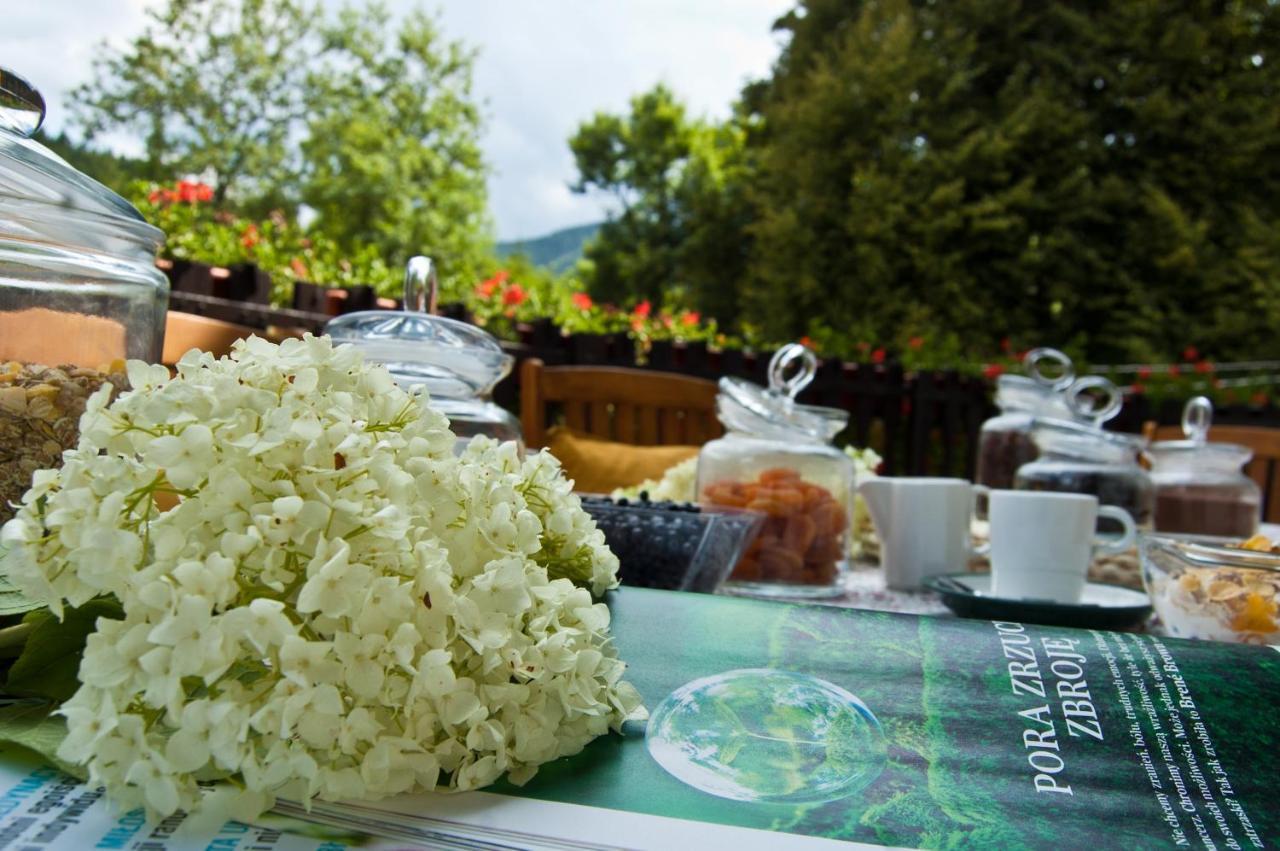 Hotel Gorski Czarna Gora สโตรเนีย ชล็องสเกีย ภายนอก รูปภาพ