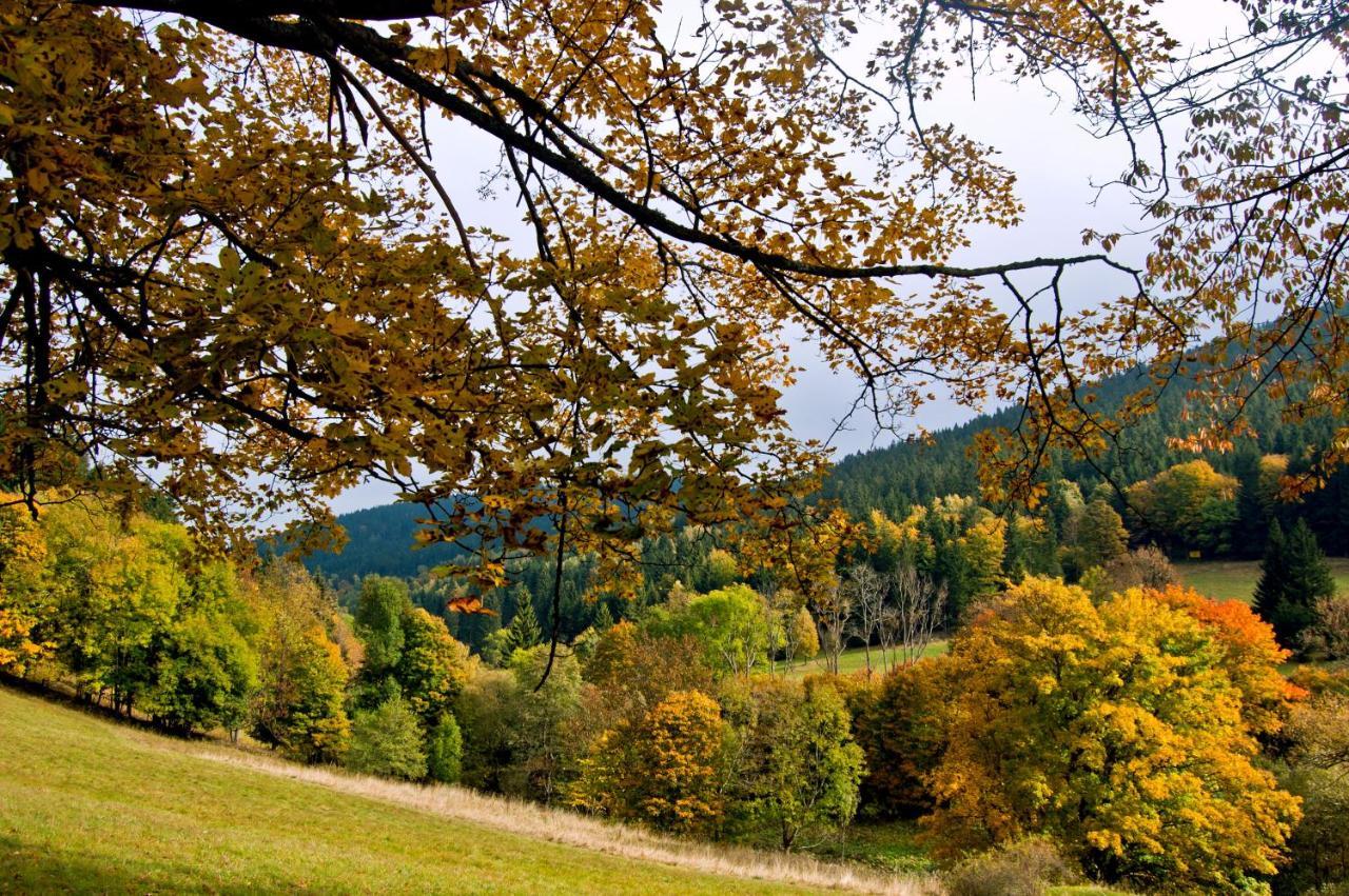 Hotel Gorski Czarna Gora สโตรเนีย ชล็องสเกีย ภายนอก รูปภาพ