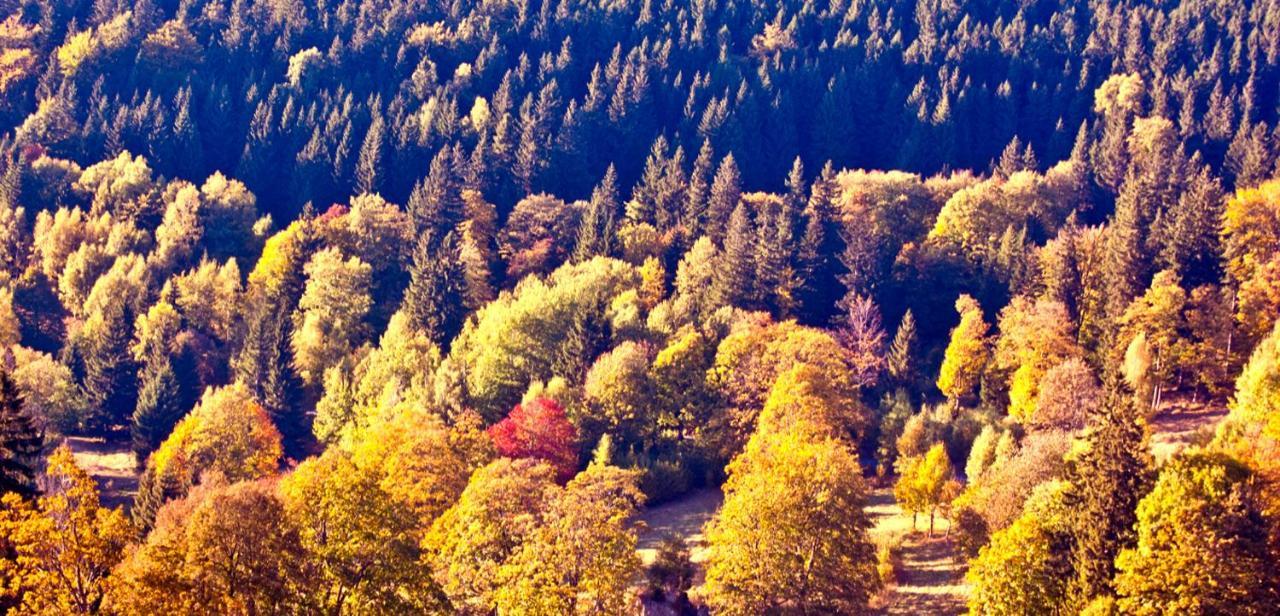 Hotel Gorski Czarna Gora สโตรเนีย ชล็องสเกีย ภายนอก รูปภาพ
